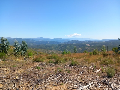 Terreno Rustico, Roqueiro