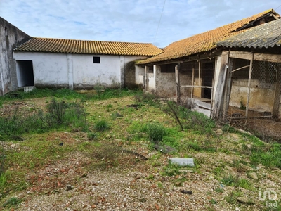 Casa de Campo T0 em Porto de Mós - São João Baptista e São Pedro de 556 m²