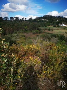 Terreno em Carvoeira de 6 624 m²