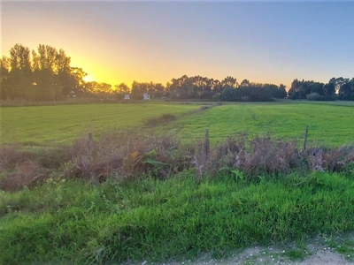 Terreno em Pinhal Novo de 4 750 m²