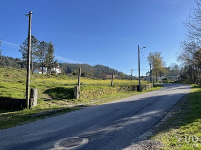 Terreno em Vouzela e Paços de Vilharigues de 256 m²