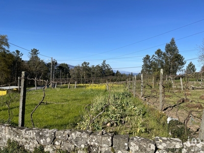 Terreno em Vouzela e Paços de Vilharigues de 533 m²