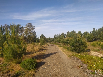 Terreno para construção em Aljezur de 228 000 m²