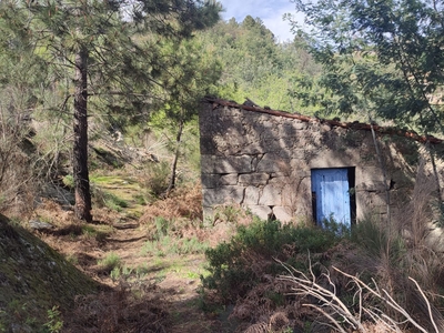 FANTÁSTICO TERRENO SOBRE A SERRA DA GARDUNHA, São Vicente da Beira