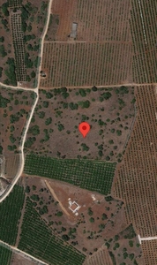 Terreno rústico com 14 700 m2 na Quebrada, Algoz