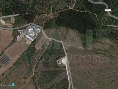 Terreno rústico na Freguesia da Lousa, com possibilidade de construção de casa e armazém de apoio agrícola