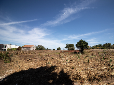 Terreno em Tavarede para construção, em Chã, Tavarede, na Figueira da Foz