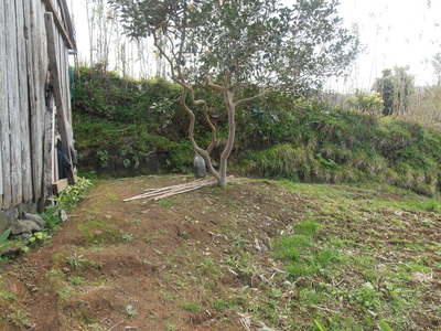 Terreno no Porto Formoso - A três minutos da fábrica do chá