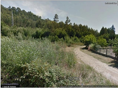 Terreno - Quinta Stª. Justa - Cultura e Pinhal - 6,98 ha - Valongo