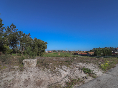 Terreno rústico com 2.340 m2 no Castanheiro, perto da Estrada Nacional 109, na freguesia de Bom Sucesso - Figueira da Foz