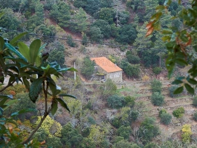 Terreno à venda em Adorigo, Tabuaço