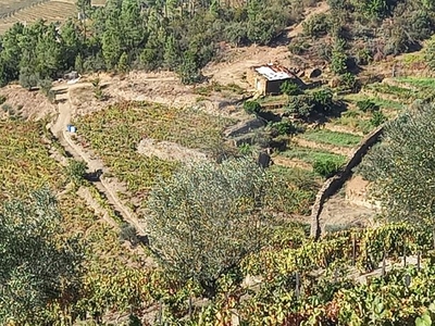 Terreno à venda em Gouvinhas, Sabrosa