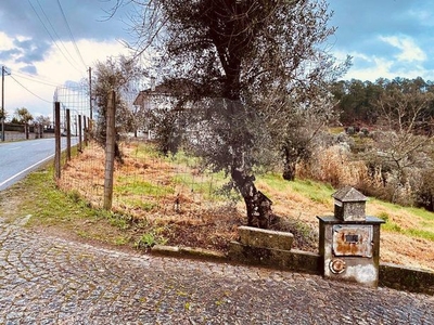 Terreno à venda em São Cipriano e Vil de Souto, Viseu
