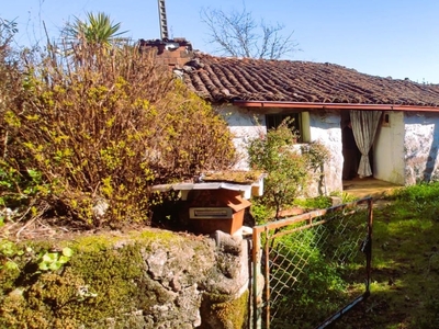 Casa / Villa T2 em Pico de Regalados, Gondiães e Mós de 69 m²
