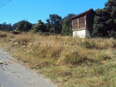 Terreno para Construção / Oliveira de Azeméis, Vila de Cucujães