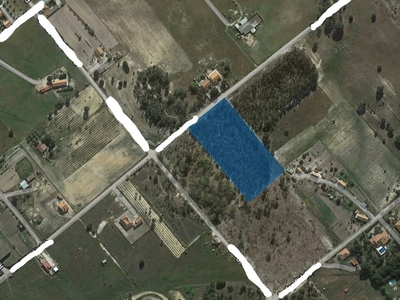 Terreno para construção em Branca de 12 500 m²