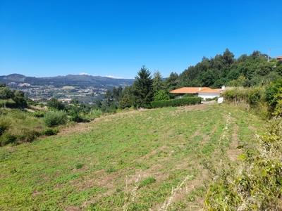 Venda Quintinha, Tarouquela, Cinfães