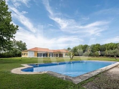 House T5 with 461m2 and 14.738m2 of land with pool |Herdade do Zambujeiro | Santo Estevão
