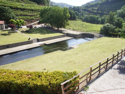 Terreno Agrícola em Louredo e Fornelos de 35 296 m²