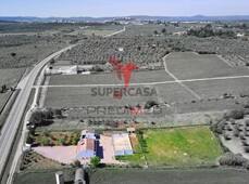 Quinta Rural T4 à venda em Estremoz (Santa Maria e Santo André)