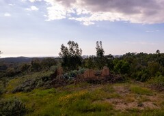 Quintinha à venda em São Teotónio