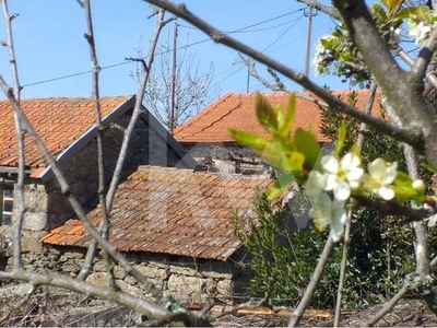 Moradias térreas para restaurar com anexos, quintal, terreno de cultura, ramada e oliveiras