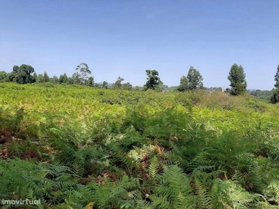 Terreno para alugar em Penafiel, Portugal