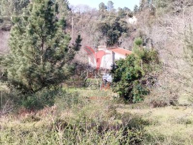 Quinta Rural T3 à venda na Ribeira de Nisa e Carreiras