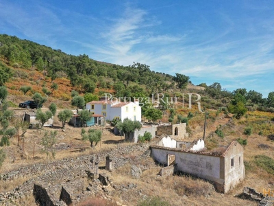 Quinta com 5,5 hectares e várias casas em Portalegre