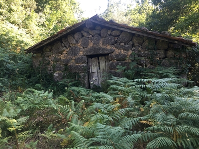 Quinta na zona do Gerês com 20.000 m2 terreno e muita Agua