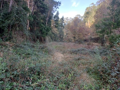 Terreno à venda em Monte Córdova, Santo Tirso