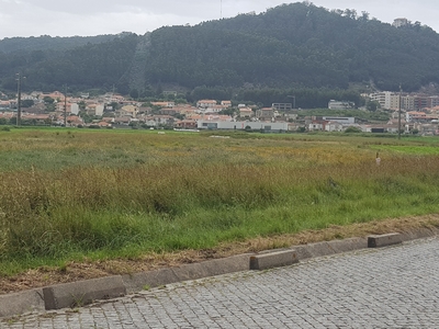 Terreno Agrícola com 22000m2 , situado na Areosa ,Viana do Castelo