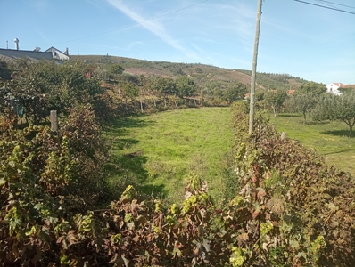 Terreno rústico em Espinheiro, no Estreito, Oleiros