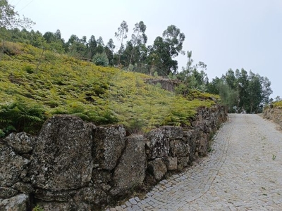 Terreno à venda em Carreira e Refojos de Riba de Ave, Santo Tirso