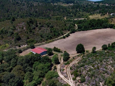 Terreno em Vila Real de 55000,00 m²