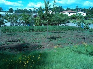 Terreno à venda em Santo Tirso, Couto (Santa Cristina e São Miguel) e Burgães, Santo Tirso