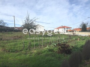 Terreno Agrícola na Torre do Terreno