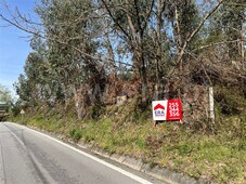 Terreno para Construção / Felgueiras, Pinheiro