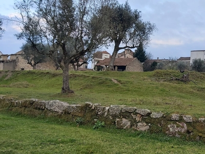 Quinta em Vila Nova de Oliveirinha, Tábua, com cerca de 4 hectares, prados com abundância de água, antigo lagar de azeite e várias casa de pedra para reconstrução.