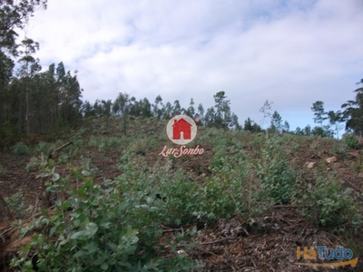 Terreno Florestal de 9.980m2 em Canidelo, Vila do Conde