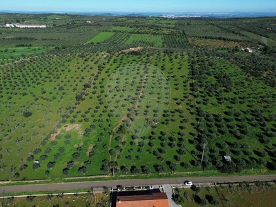 Terreno à venda em Terrugem e Vila Boim, Elvas