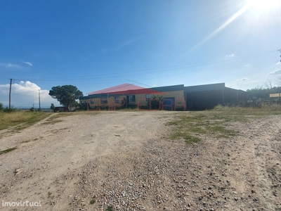Pavilhão industrial ou armazém com 6 000 m2 terreno em Mangualde Viseu