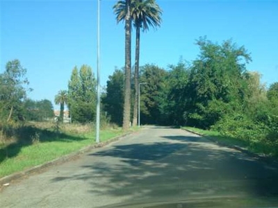 Lotes para construção na Quinta da Borralha .