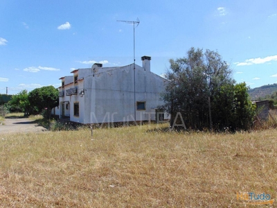Quintinha (19.740 m2) e Casa T3 Térrea (395 m2)(2012) - Ocasião - Oportunidade de Negócio - Abrantes