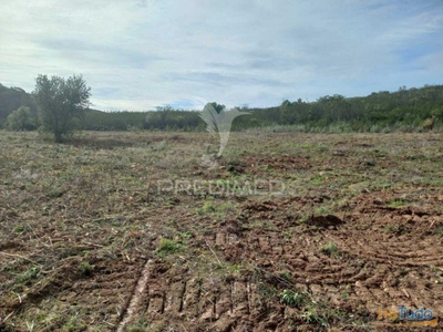 Terreno Rústico de cerca de 28ha para arrendamento