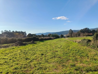 Terrenos Agrícolas situados em Samonde, Santa Marta de Portuzelo, Viana do Castelo