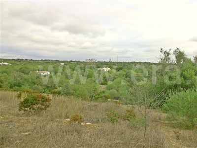 Terreno com ruina / Tavira, Luz de Tavira e Santo Estêvão