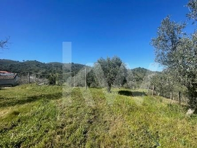 Monte alentejano, com projecto aprovado na Serra de Grândola