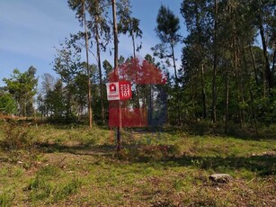 terreno à venda Barbudo, Vila Verde