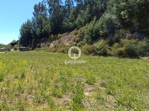 terreno à venda Fonte Coberta, Barcelos